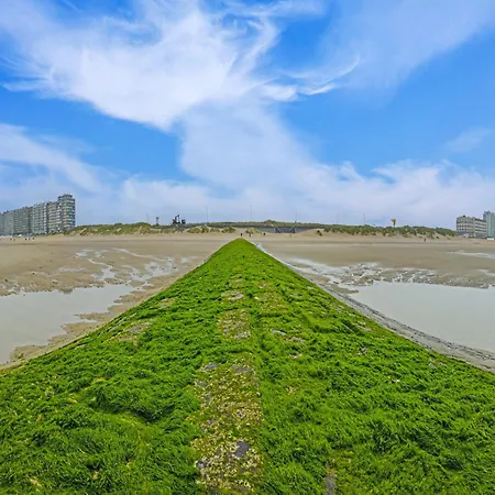 Daire By The Sea Near Casino Ostend, Cleaning Included *